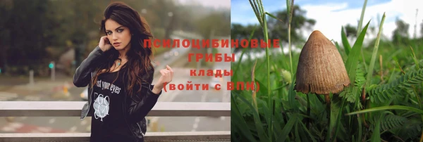 винт Володарск