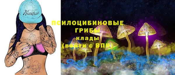 винт Володарск